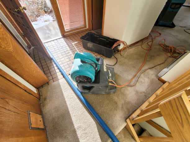 Best Emergency water damage restoration  in Rushville, IN