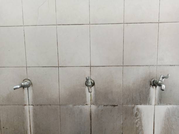 Water damage restoration experts in IN